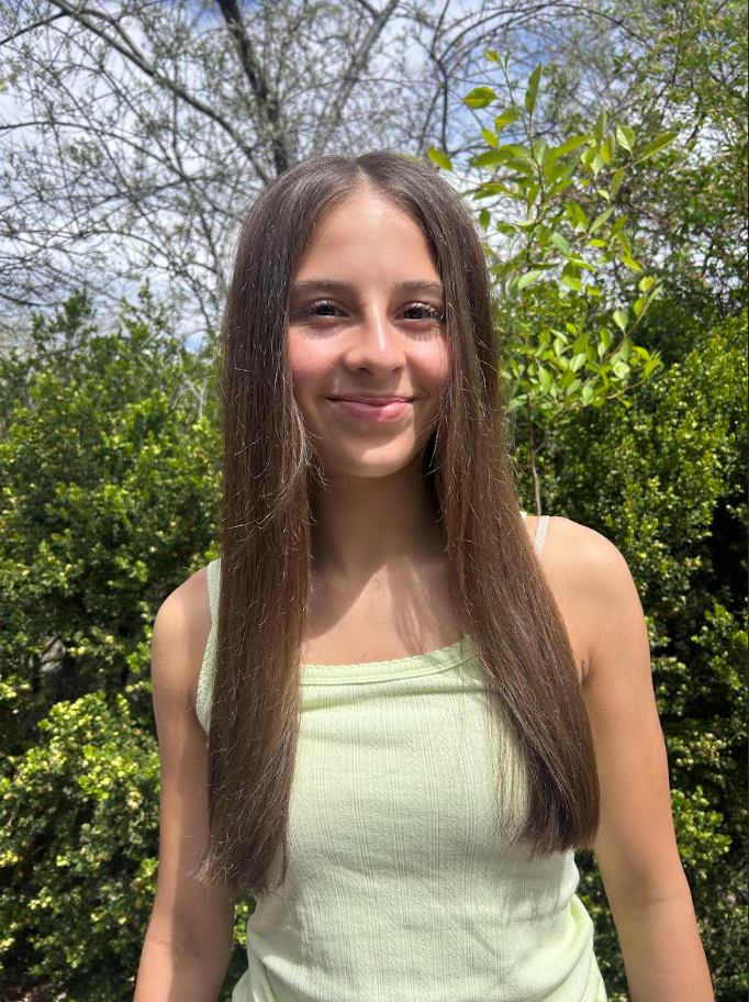 Natural brunette hair with a sleek center part